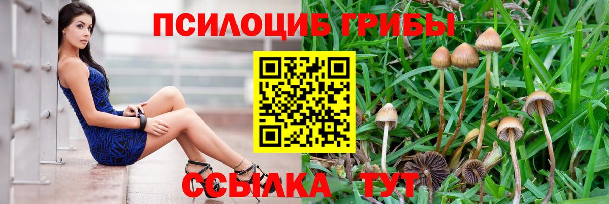 Свободный  Галлюциногенные грибы Magic Shrooms  Вход с VPN 
