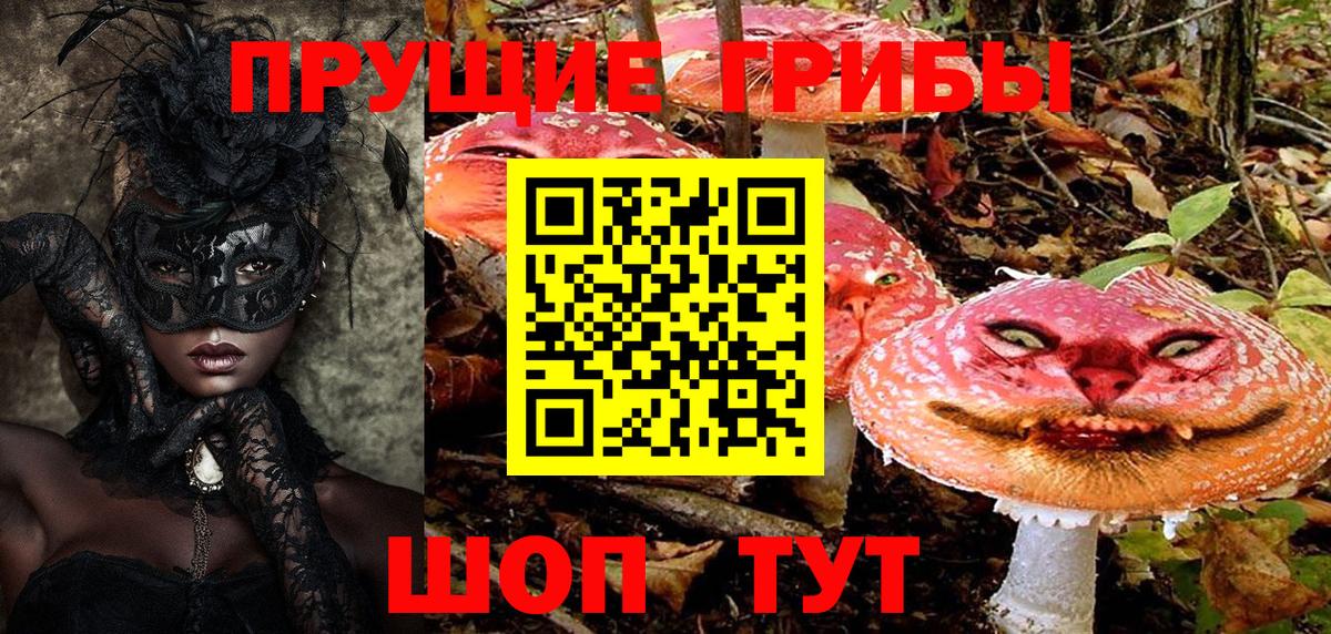 Псилоцибиновые грибы Psilocybine cubensis Свободный